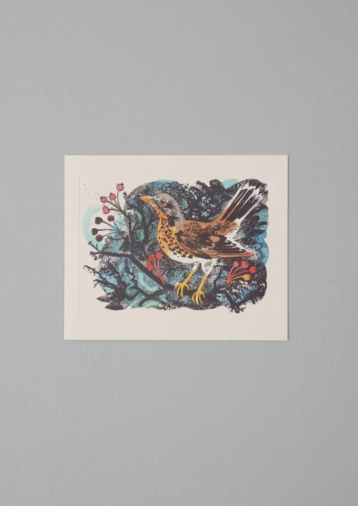 TOAST Mark Hearld Greeting Card Set- Stationery|Christmas Decorations