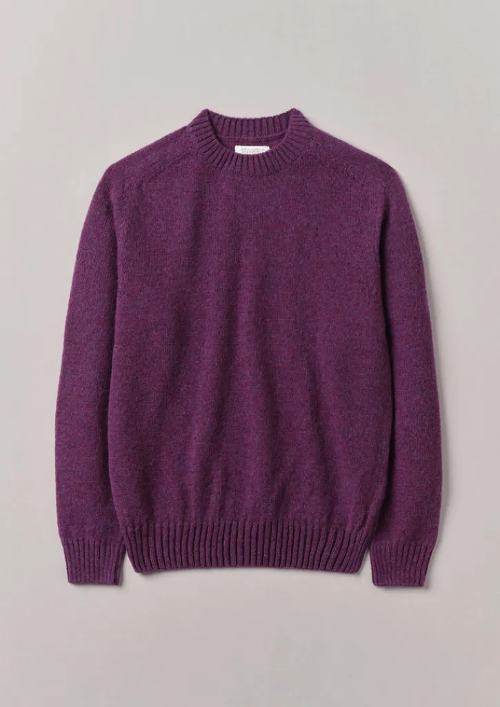 TOAST Wool Crew Neck Sweater- Knitwear