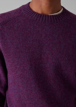 TOAST Wool Crew Neck Sweater- Knitwear